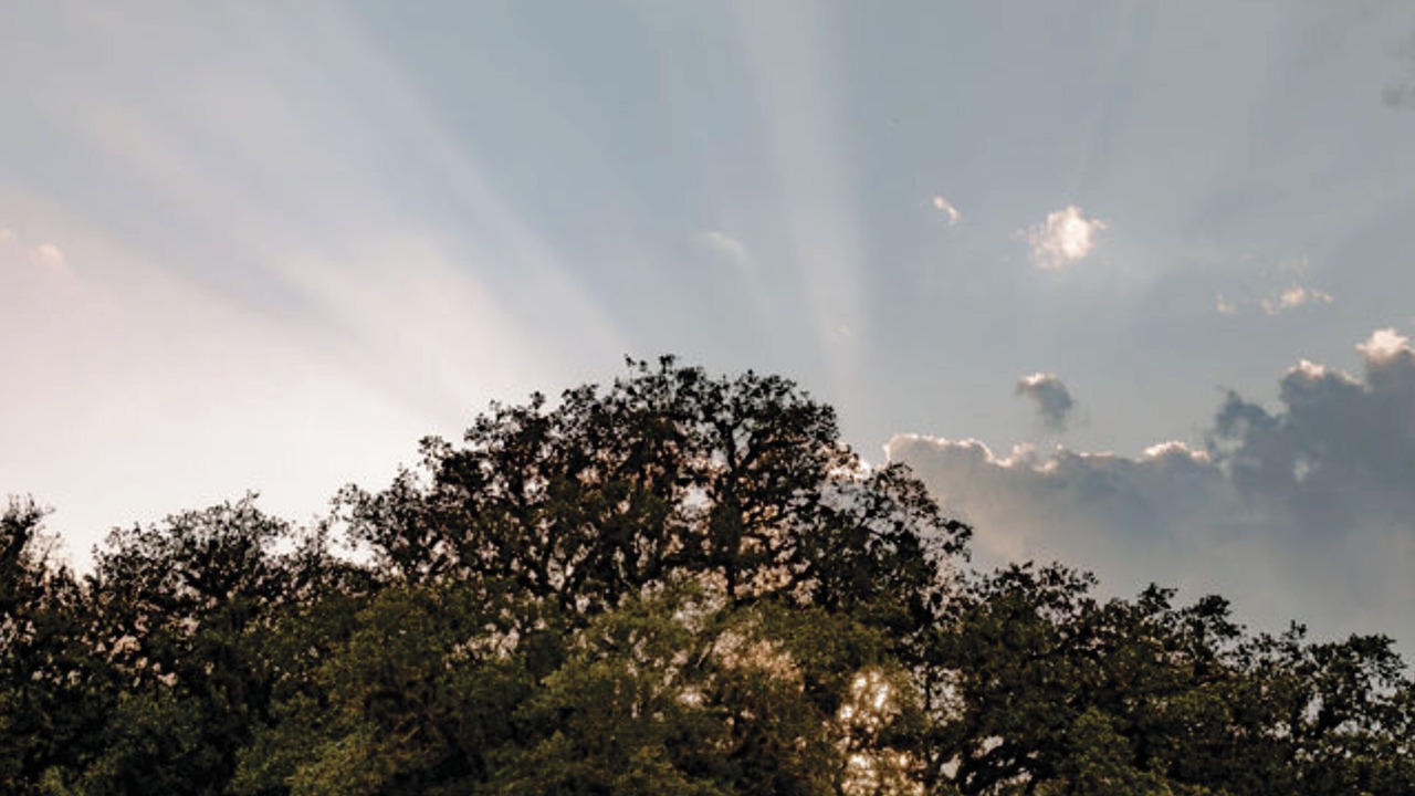 Photo of Others in Rio Frio