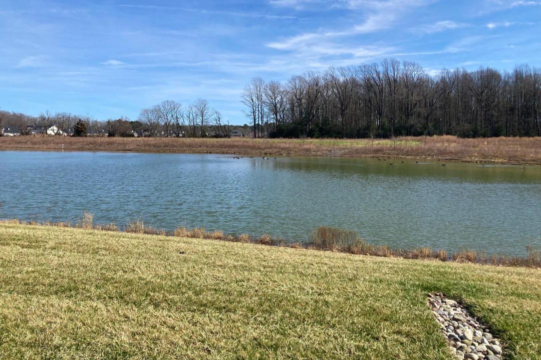 Photo of Outdoor in Lewes