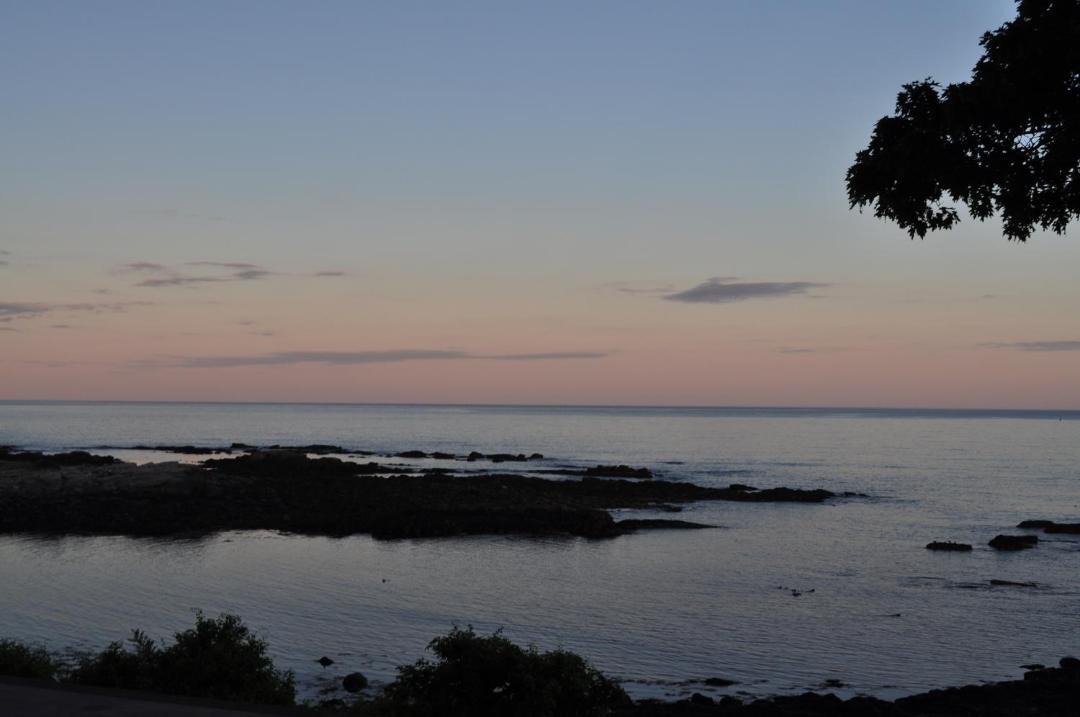 Photo of Others in Peaks Island