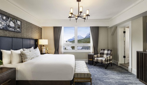 Suite, 1 Bedroom